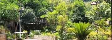 استخر ویلا کد14 در خورشیدکلا 14678637486378686869