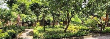 محوطه ویلا کد14 در خورشیدکلا 646414189654968541985496859685968