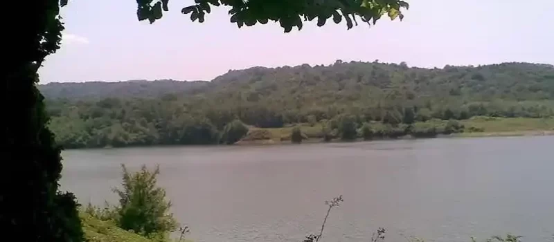 دریاچه گل پل 5641854698548541