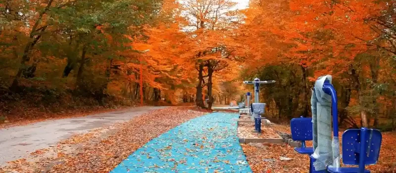 پارک جنگلی تلار 6854685658468546854