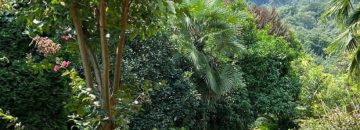 ویو ویلا کد35 در نکا 674856974859674859748596