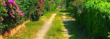 حیاط ویلا در طاهرآباد 29889654