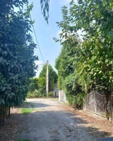 متراژ زمین کد34 در خزرآباد 4968496854968546854