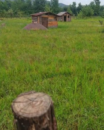 زمین کد26 در قائمشهر 4636749678967896