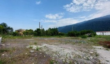 ویو زمین کد33 در ساری 45345634565486